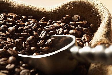 《要塞：决定版》Steam版发售 售52元支持中文